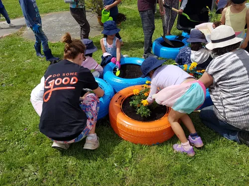 Porirua School flower garden