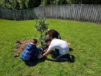 Do Some Good volunteer day plants fruit trees for Arakura School